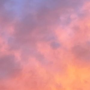 Meet your Posher, Kai